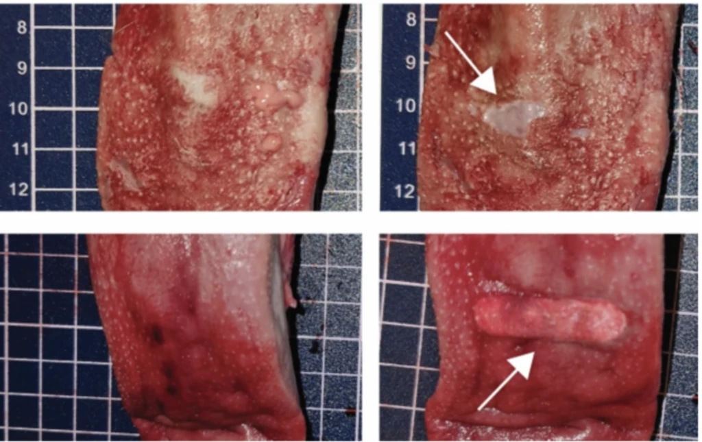 - Figure 1 - 