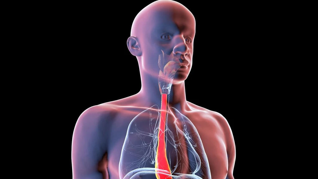 Digital Twins Poised to Revolutionize Personalised Surgery