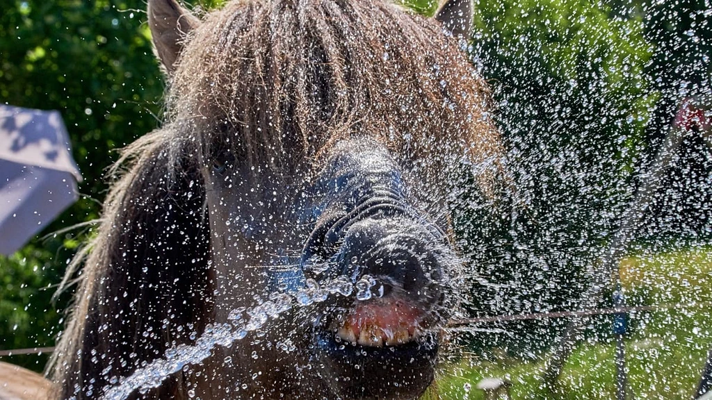 Germany Breaks Heat Record Again, Shattering Previous Day's Mark
