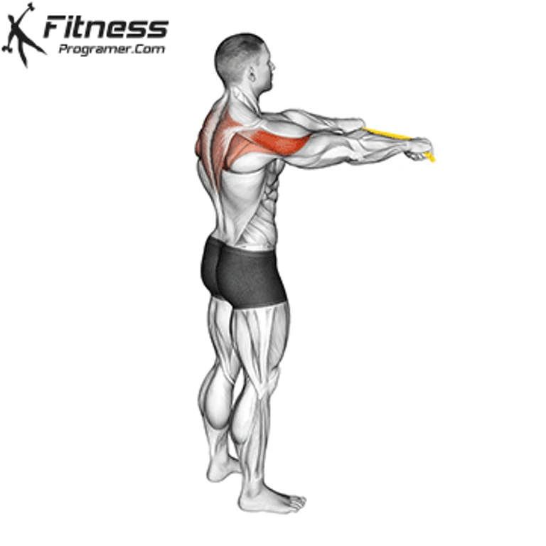 - Figure 2 - 