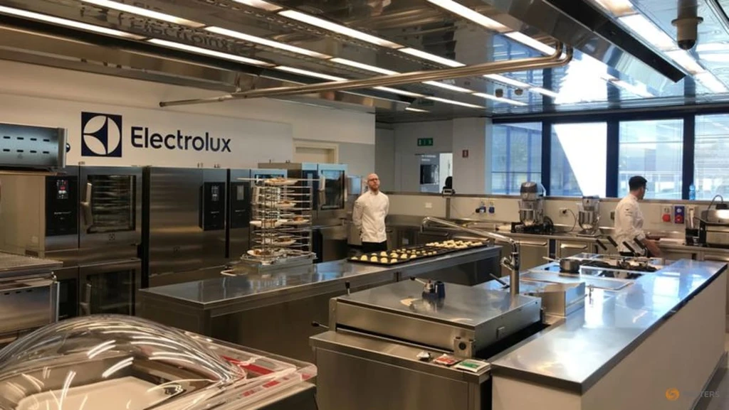 Electrolux Shares Plummet After Quarterly Loss, US Demand Slumps