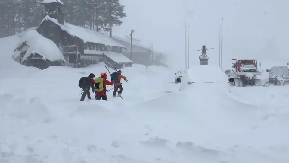 Eight Skiers Dead in California Avalanche, One Missing