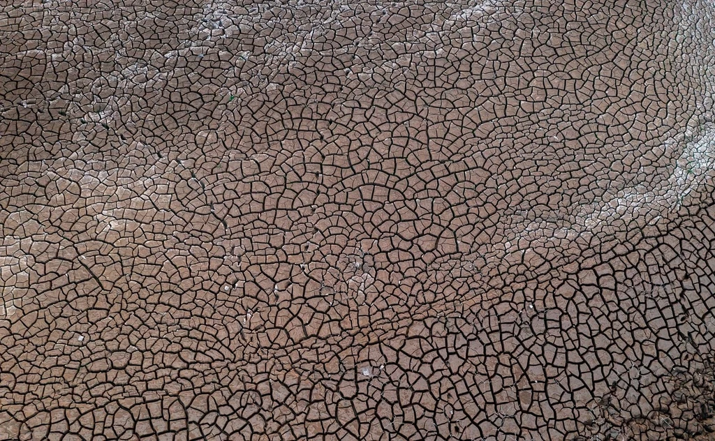 Super El Niño and Iran War Converge, Threatening Global Food Crisis