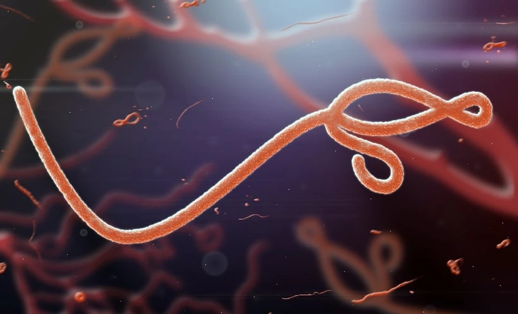 Ebola Outbreak Renews Focus on Broad-Spectrum Antiviral Drug Candidate