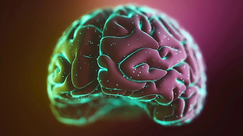 Exercise Triggers Memory-Boosting Brain Ripples, Study Shows