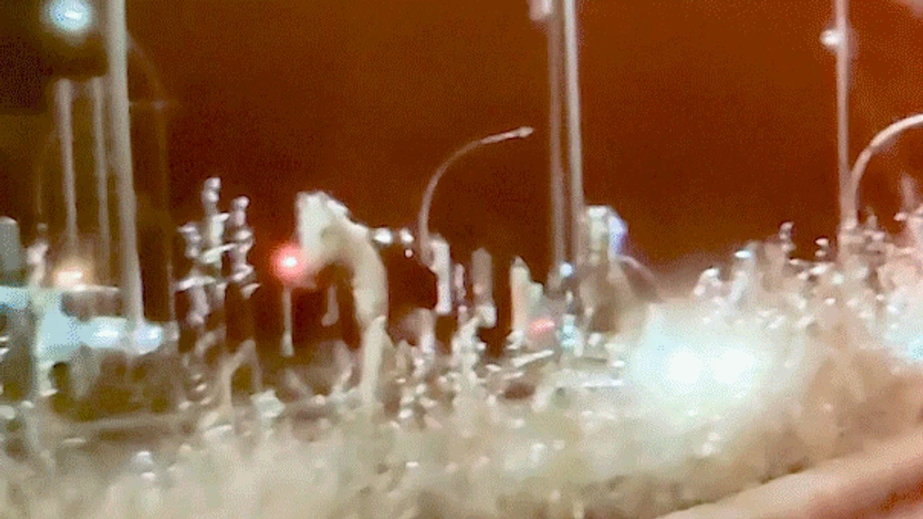 Fireworks Trigger Horse Stampede in Rome, Injuring Soldiers