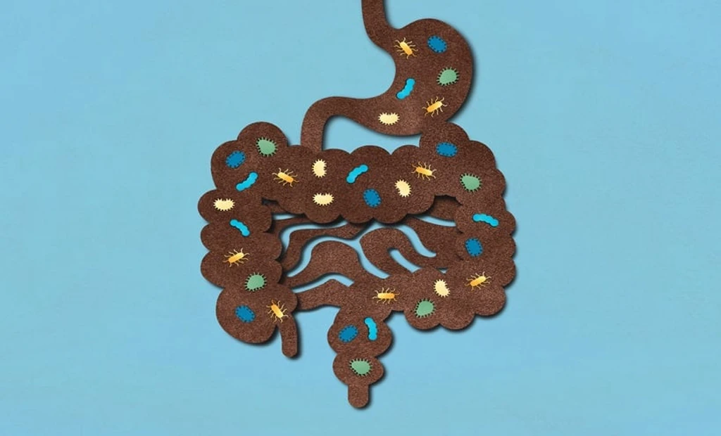 Fecal Microbiota Transplant Shows Promise as Depression Treatment Adjunct