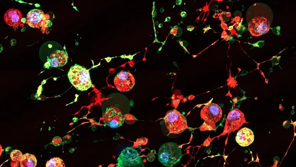 New 'Footprint of Death' Discovery Could Revolutionize Viral Treatments