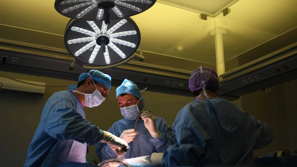Florida Surgeon Indicted in Fatal Surgical Error: Liver Removed Instead of Spleen