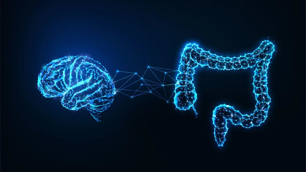 Gut-Brain Axis Emerges as Key Target Against Early Cognitive Decline