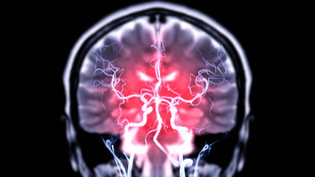 Gut Bacteria Found in Brains of Mice via Vagus Nerve