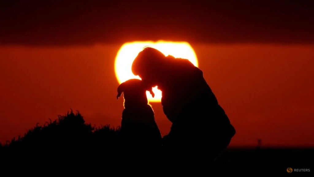 Ancient dog bones reveal 15,800-year-old canine companion