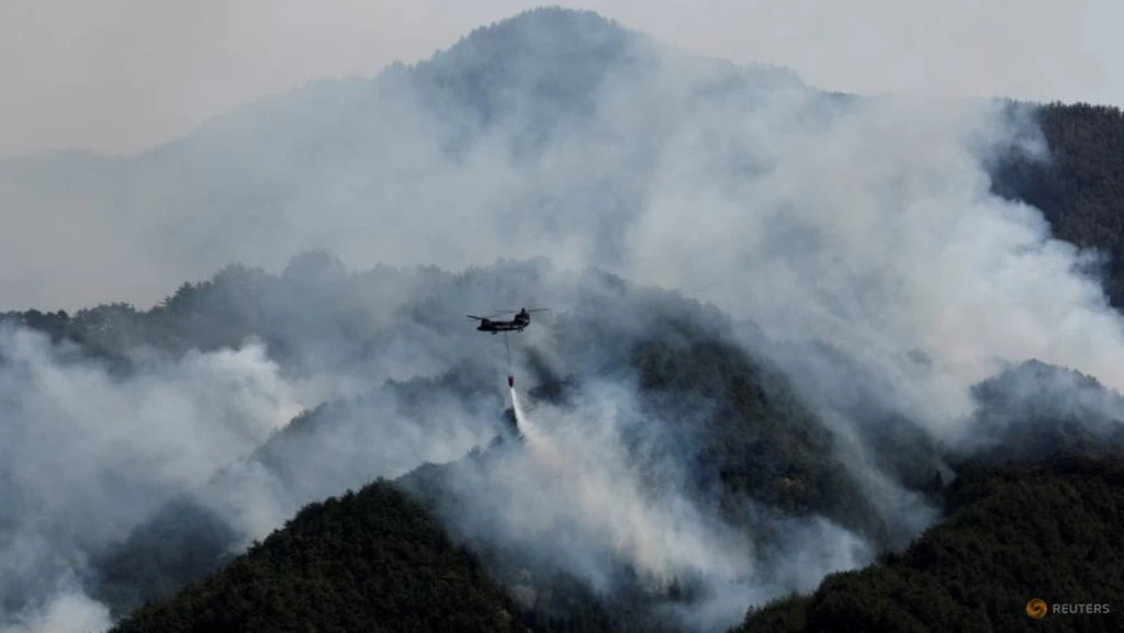 Global Fire Outbreaks Reach Record High as Extreme Heat Looms