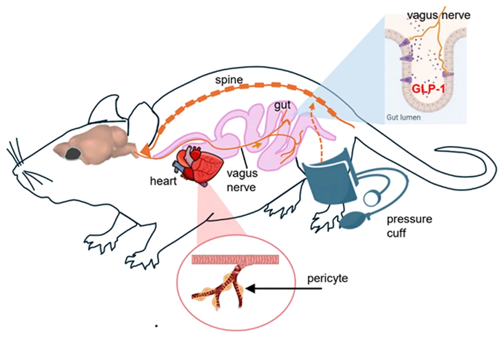 - Figure 1 - 