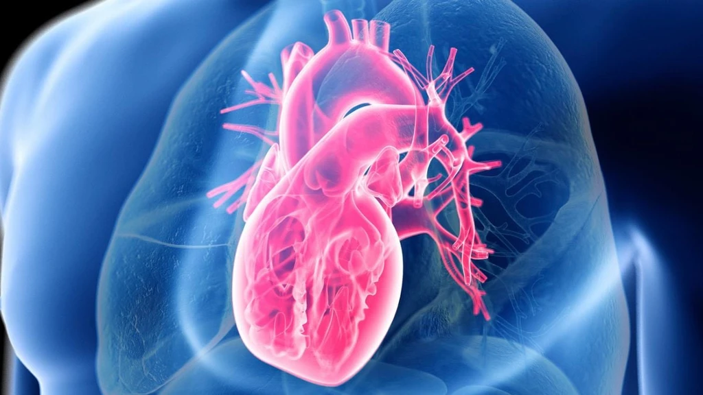 Heart Health Secret: Not Low-Carb or Low-Fat, but Food Quality