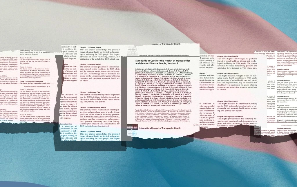 Gender Medicine Standards Under Fire: Lawsuit and New Guidelines Spark Debate