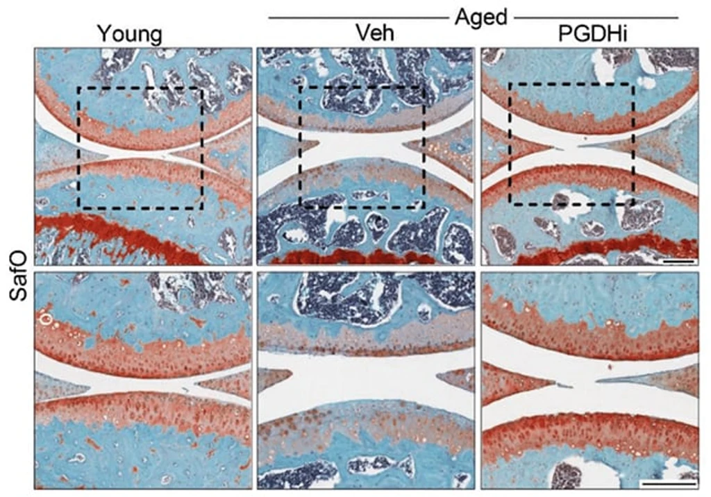 - Figure 1 - 