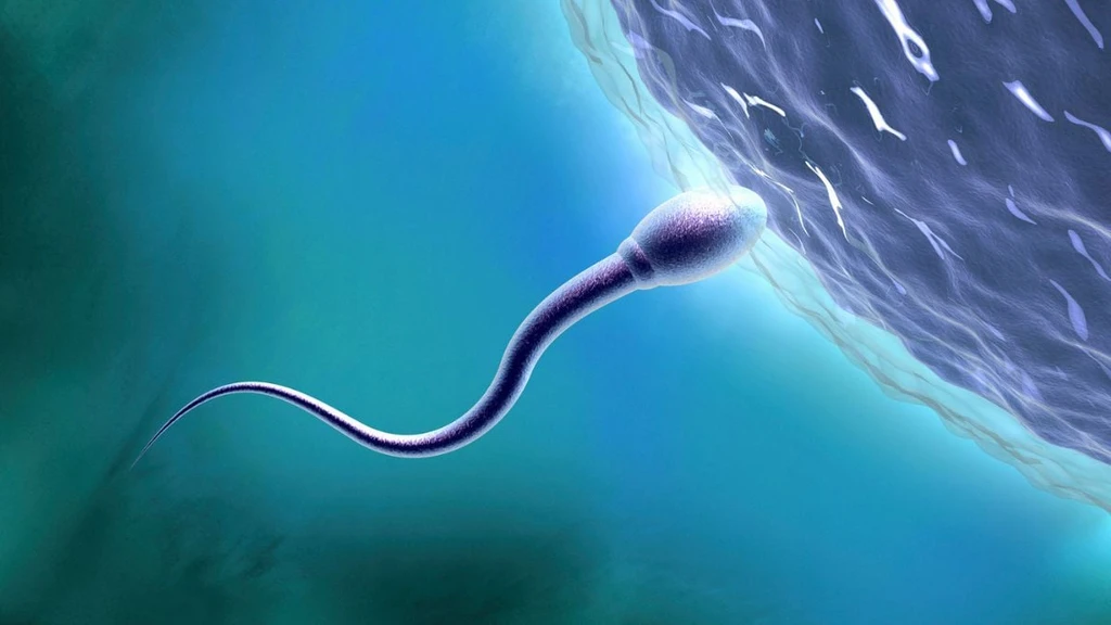 Scientists Warn of 'Silent' Fertility Crisis From Synthetic Chemicals