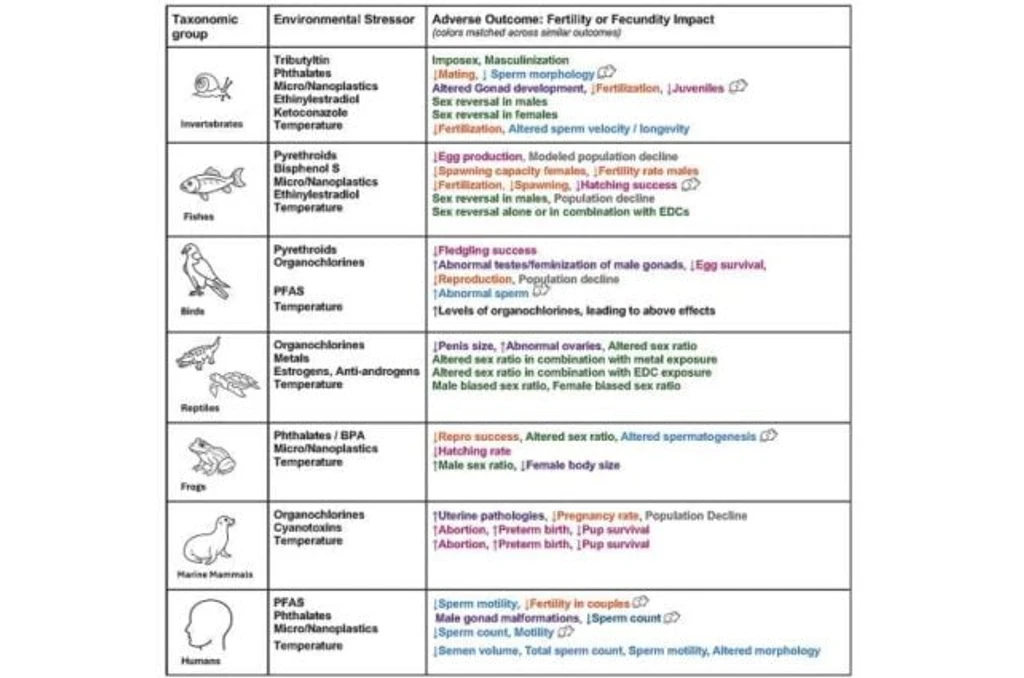 - Figure 1 - 