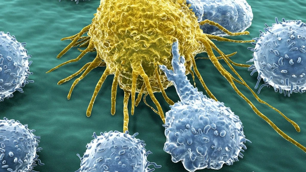 USC Scientists Engineer Endless Cancer-Fighting Immune Cells