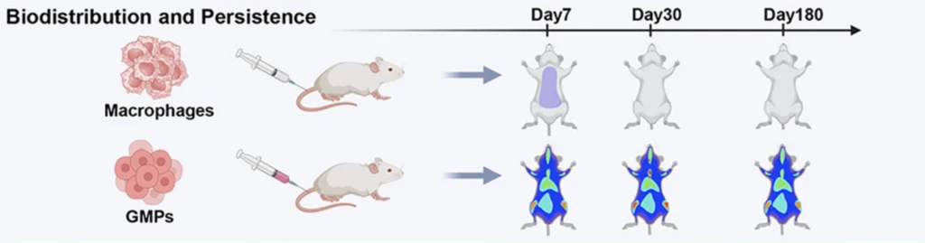 - Figure 1 - 