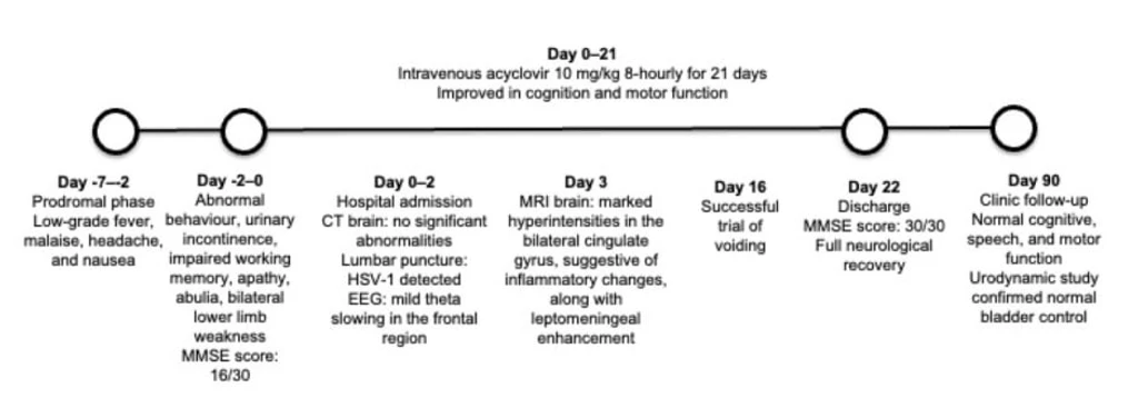 - Figure 3 -