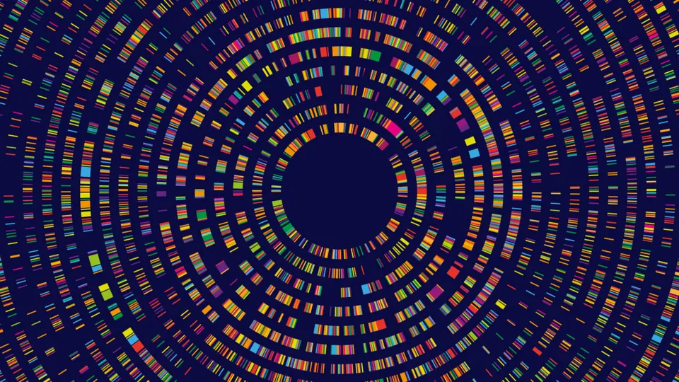 Commercial Genetic Testing: A Leap Without Understanding