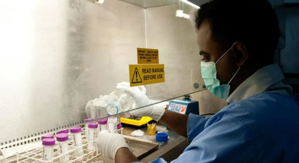 WHO Says Hantavirus Risk 'Absolutely Low', No Comparison to COVID