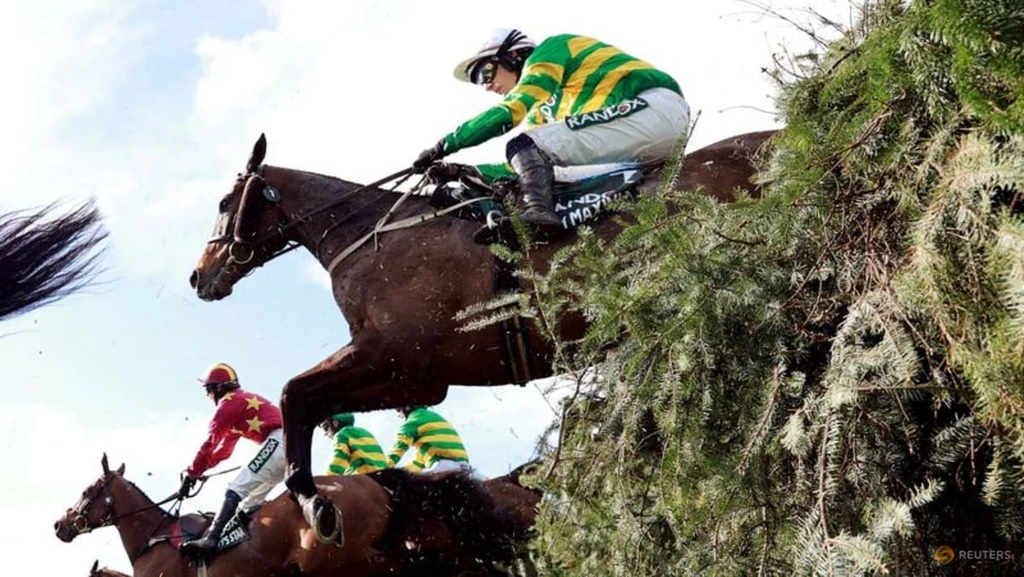 I Am Maximus Victory Drains Bookmakers in Grand National