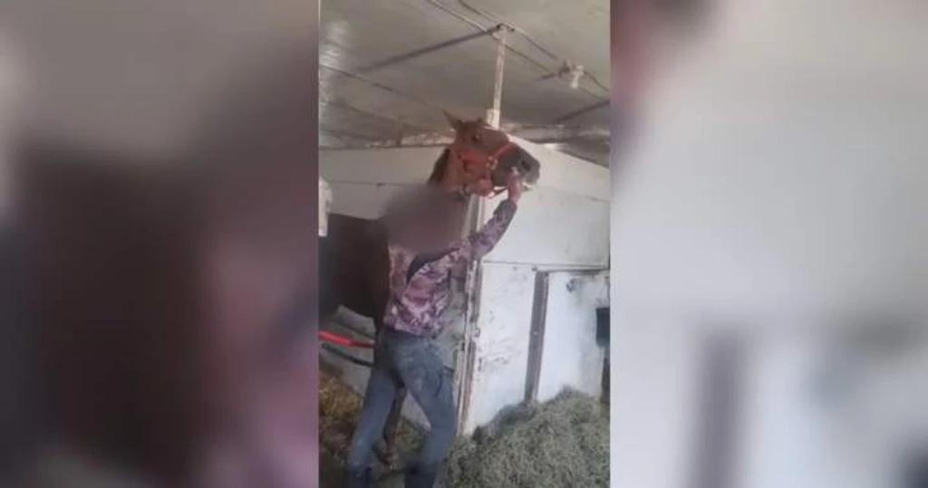 Video of Jockey Striking Horse at Winnipeg Racetrack Sparks Call for Surveillance