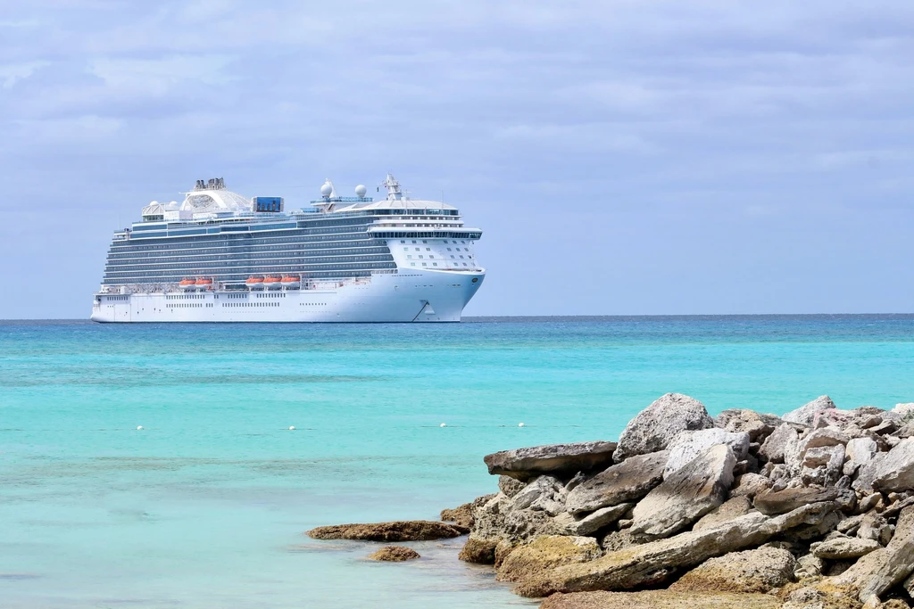 Hantavirus Outbreak on Cruise Ship: Three Dead, Authorities on Alert