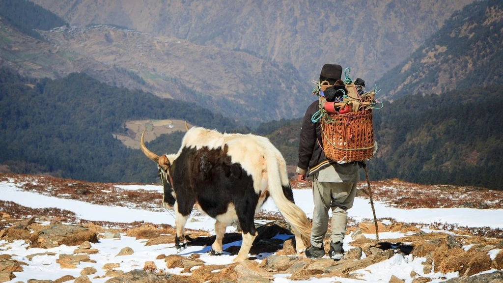 Human Evolution: Adapting to Extreme Environments