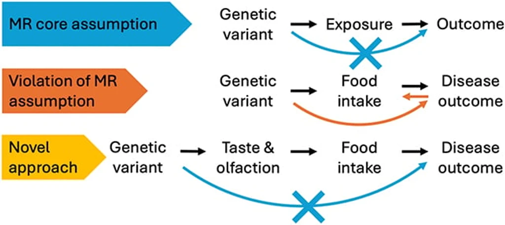 - Figure 2 -