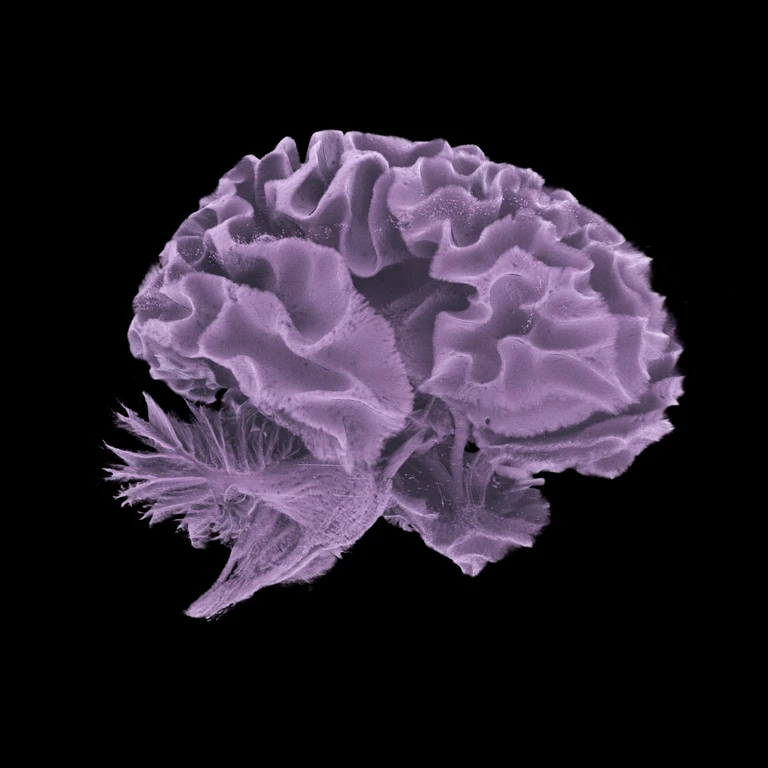 - Figure 1 - 