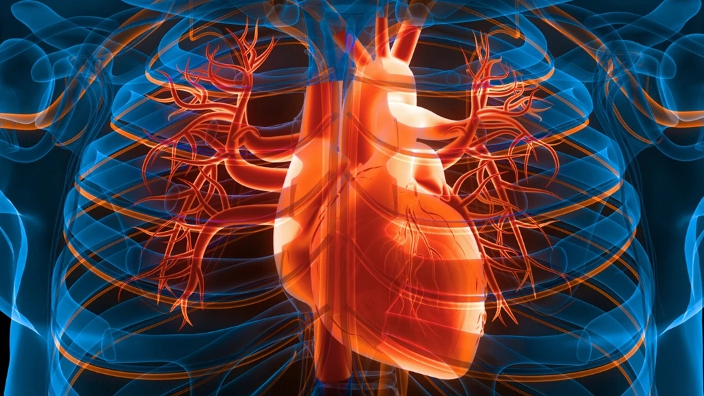 Small Lifestyle Adjustments Cut Cardiovascular Risks