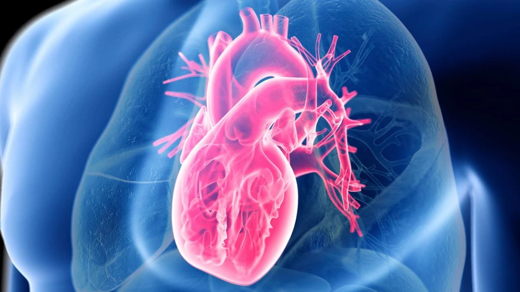 Heart Health Breakthrough: Diet Quality Trumps Carb or Fat Limits, Study Finds