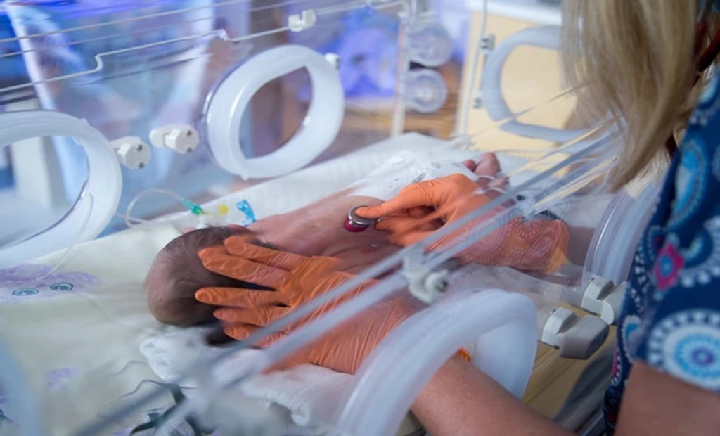 Stenting Achieves Lumen Restoration in Neonatal Aortic Coarctation Study
