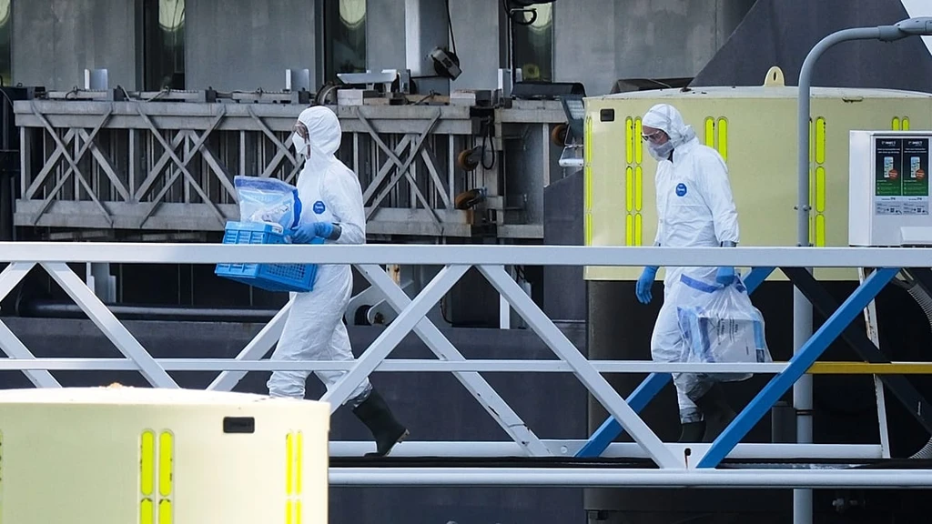 Hantavirus Outbreak on Cruise Ship Raises Alarm in Europe