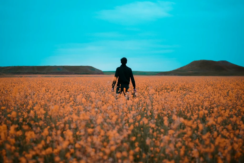 The Narrator Within: When Self-Distancing Becomes a Cage
