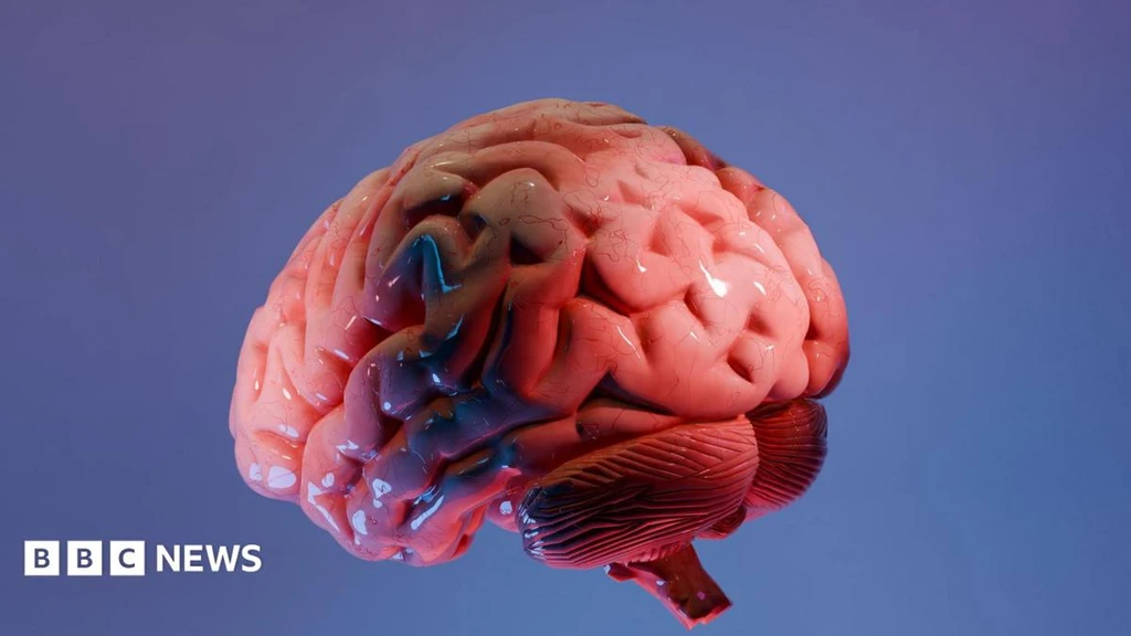 Indian Scientists Create World's Most Detailed 3D Brain Atlas