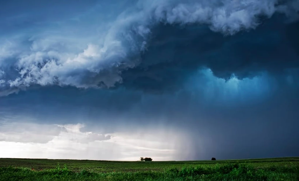 Disease Season Forecastability: Some Are Harder to Predict