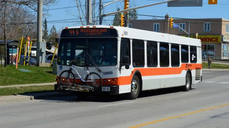 International Student Cap Fuels Transit Ridership Plunge in Ontario Cities