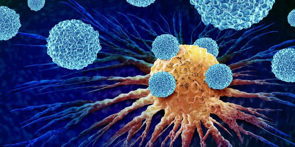 Immunotherapy Advances in Urothelial Bladder Cancer Treatment