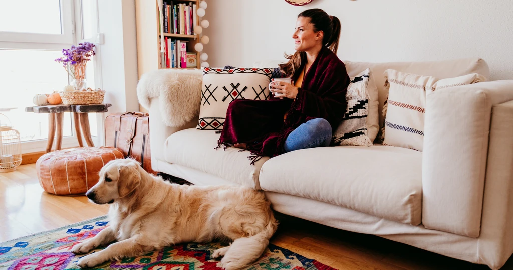 The Productivity Paradox: Why Doing Nothing Can Be Your Most Productive Act