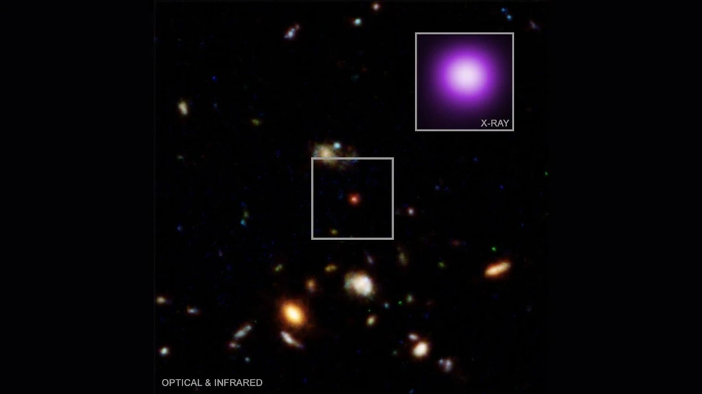 JWST Uncovers a Black Hole That Could Explain 'Little Red Dots'