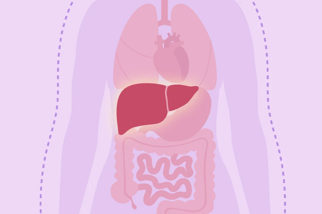 - Figure 1 - 