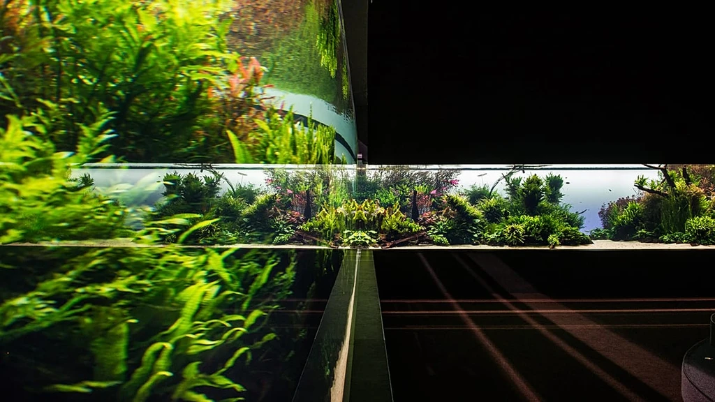 Lisbon Oceanarium's Iconic 'Forests Underwater' Exhibition Closes After 11 Years