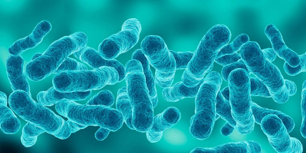First Death Reported in Manhattan Legionnaires' Outbreak, Cases Rise to 67