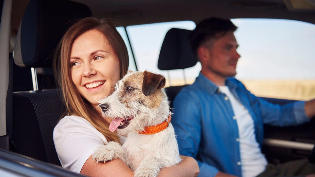 Auto Loan Refinancing Could Save $1,500 Annually