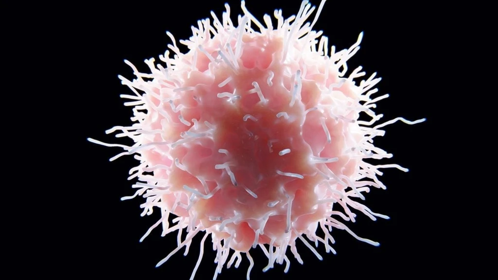 Probiotic Bacterium Reverses Lupus Damage in Landmark Animal Study